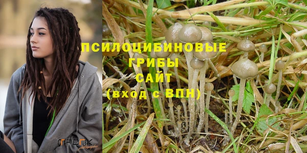 мяу мяу мука Алексин